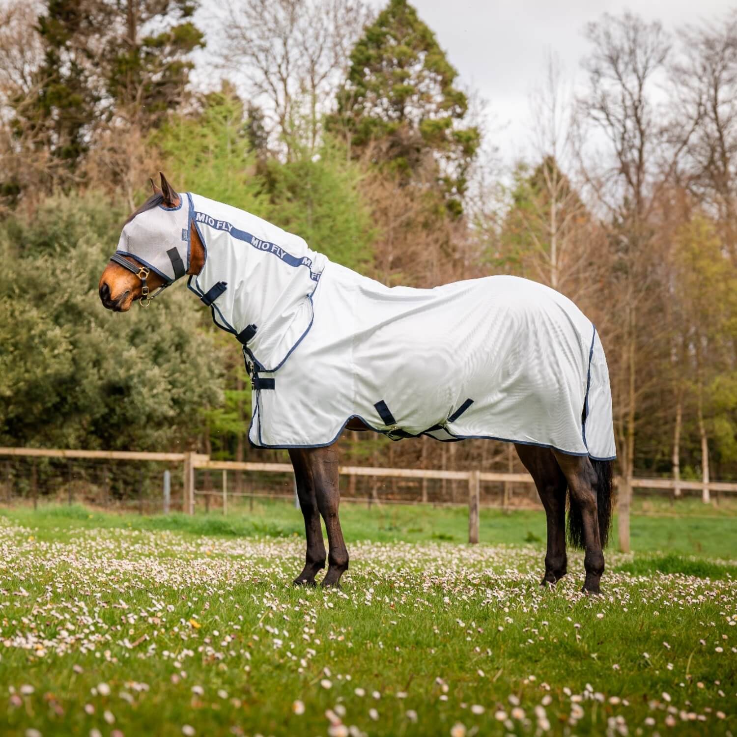 Horseware Mio Fly Rug Bronze/Navy