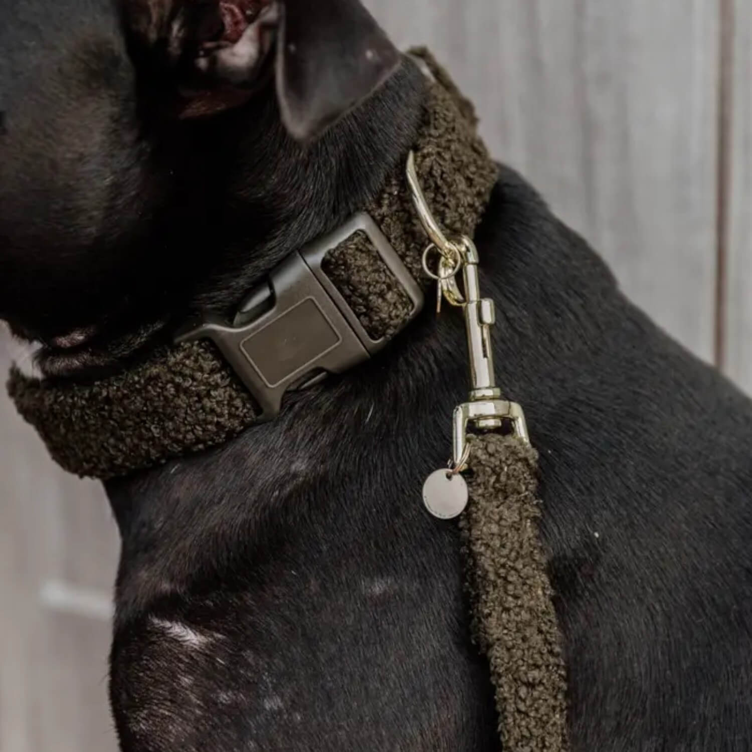 Kentucky Hunde Halsband Teddy Fleece Tannengrün