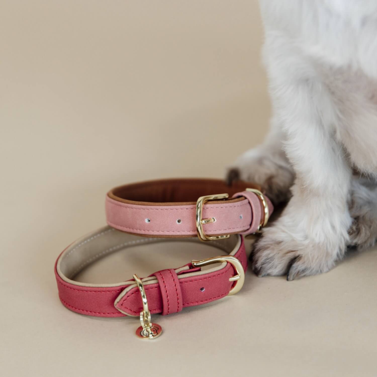 Kentucky Hundehalsband veganes Leder