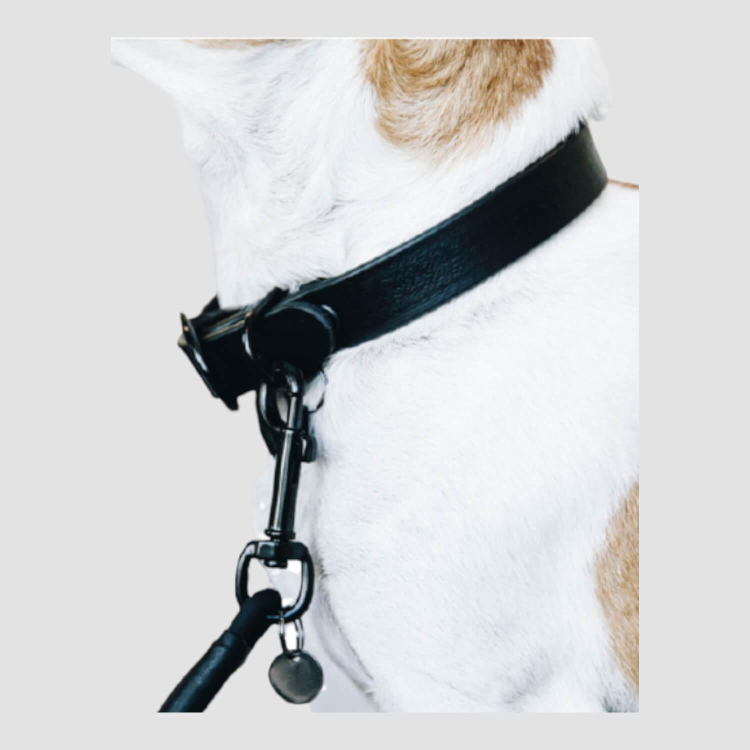 Kentucky Hundehalsband Soft Rubber Schwarz