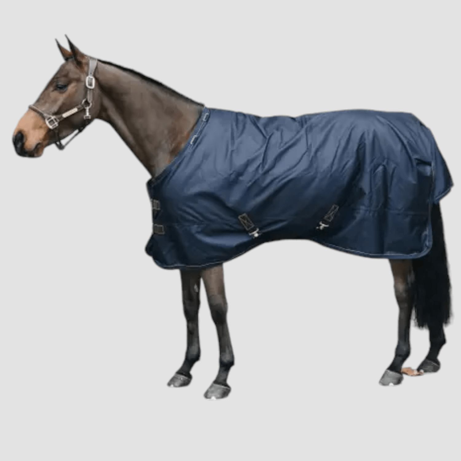 Kentucky Weidedecke All Weather Waterproof Pro Navy 0g