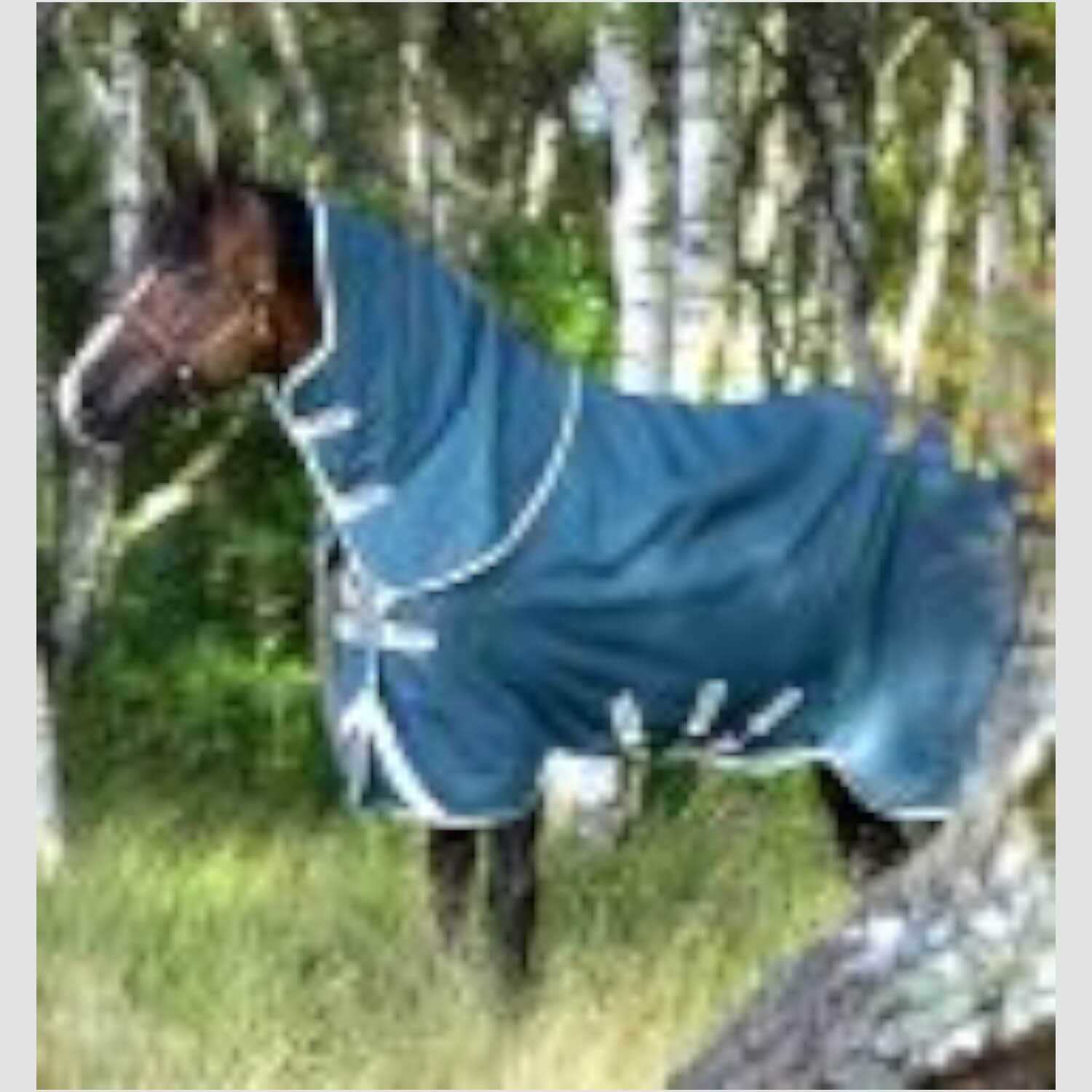 Horseware Amigo® AmECO 12 Plus Turnout 100g Teal/Grey