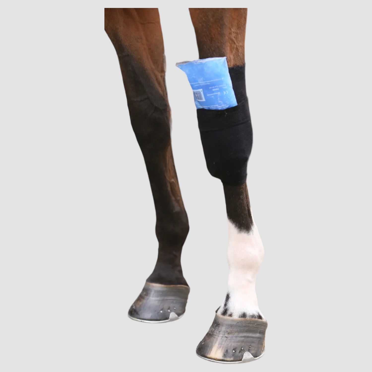 Kentucky Tendon Grip Bandagenstrumpf