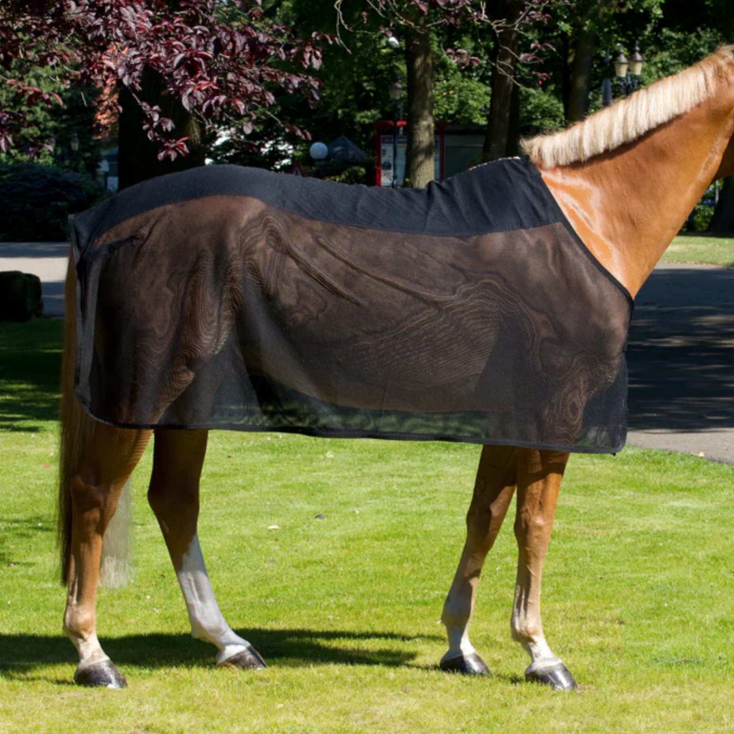 Back on Track Mesh Cooler Rug