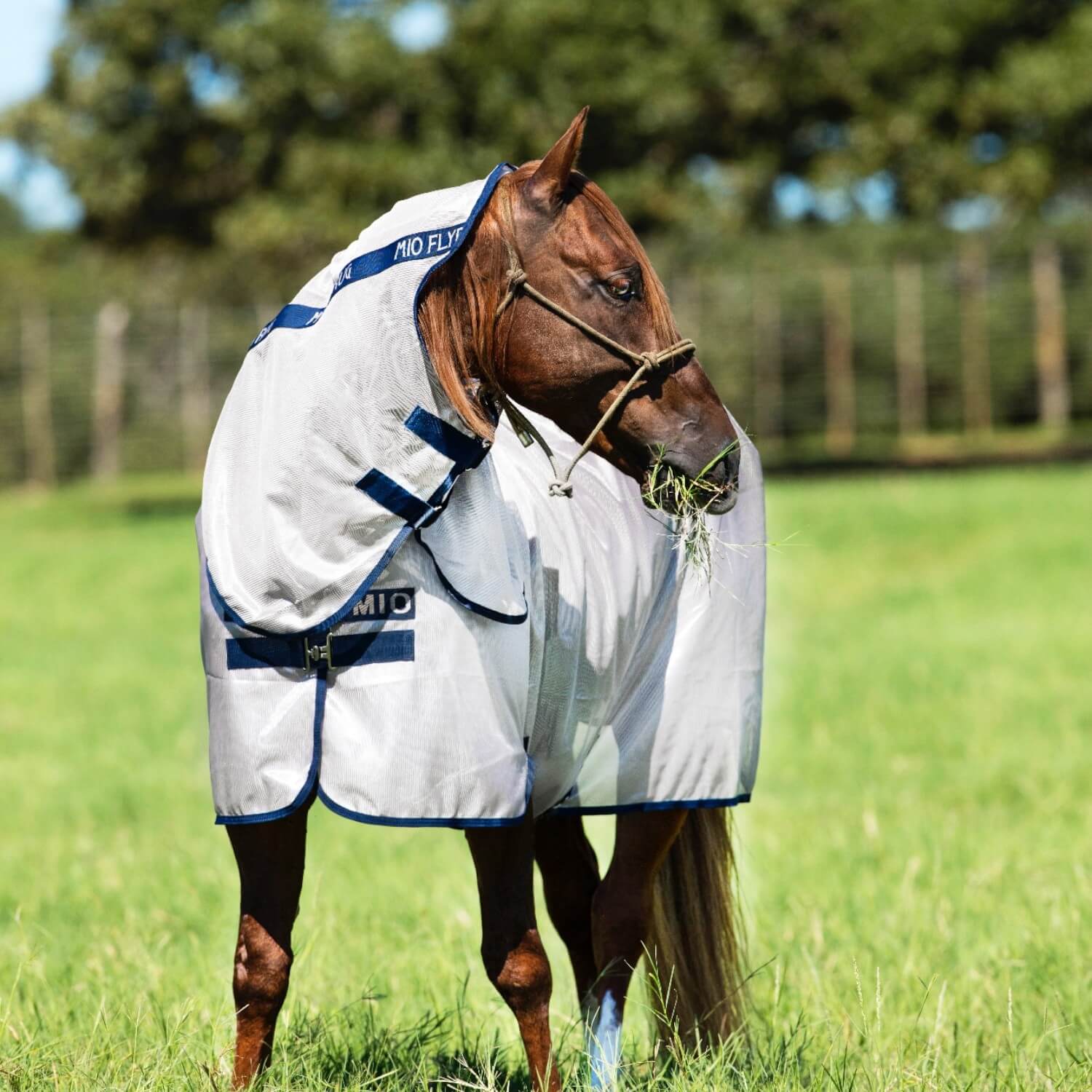 Horseware Mio Fly Rug Bronze/Navy