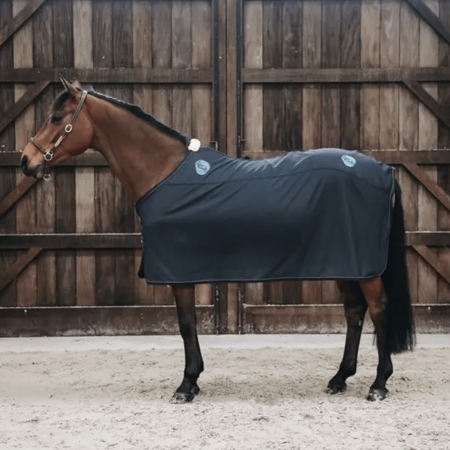 Kentucky Horsewear Magnetic Rug Recuptex