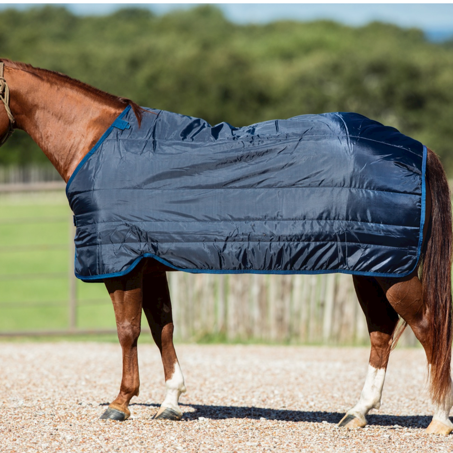 Horseware Liner 100