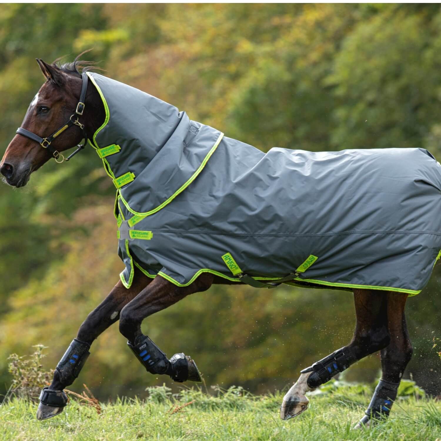 Wasserdichte Decke Horseware Amigo Hero 900 Plus DF 100 g