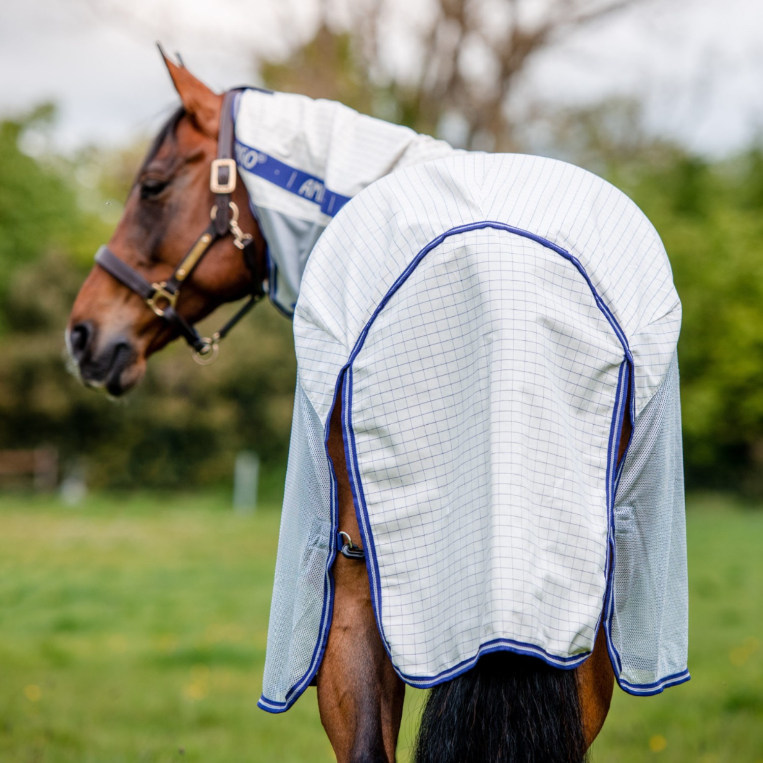 Horseware Amigo Airflow Fliegen-/Regendecke