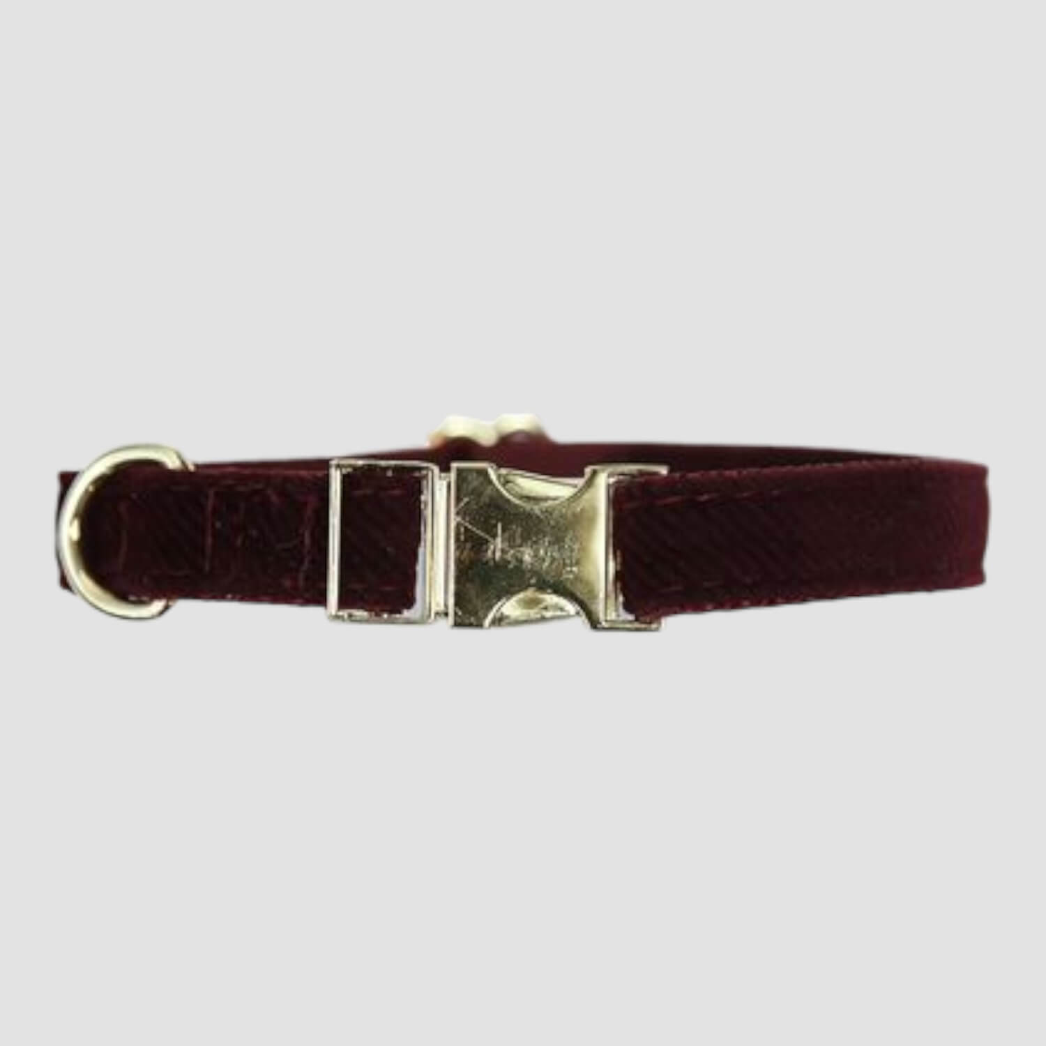 Kentucky Hundehalsband Corduroy