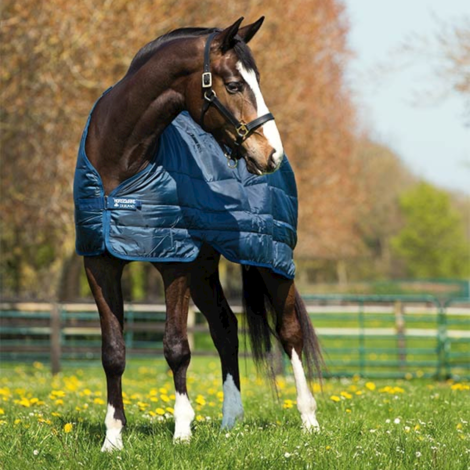 Horseware Liner 100