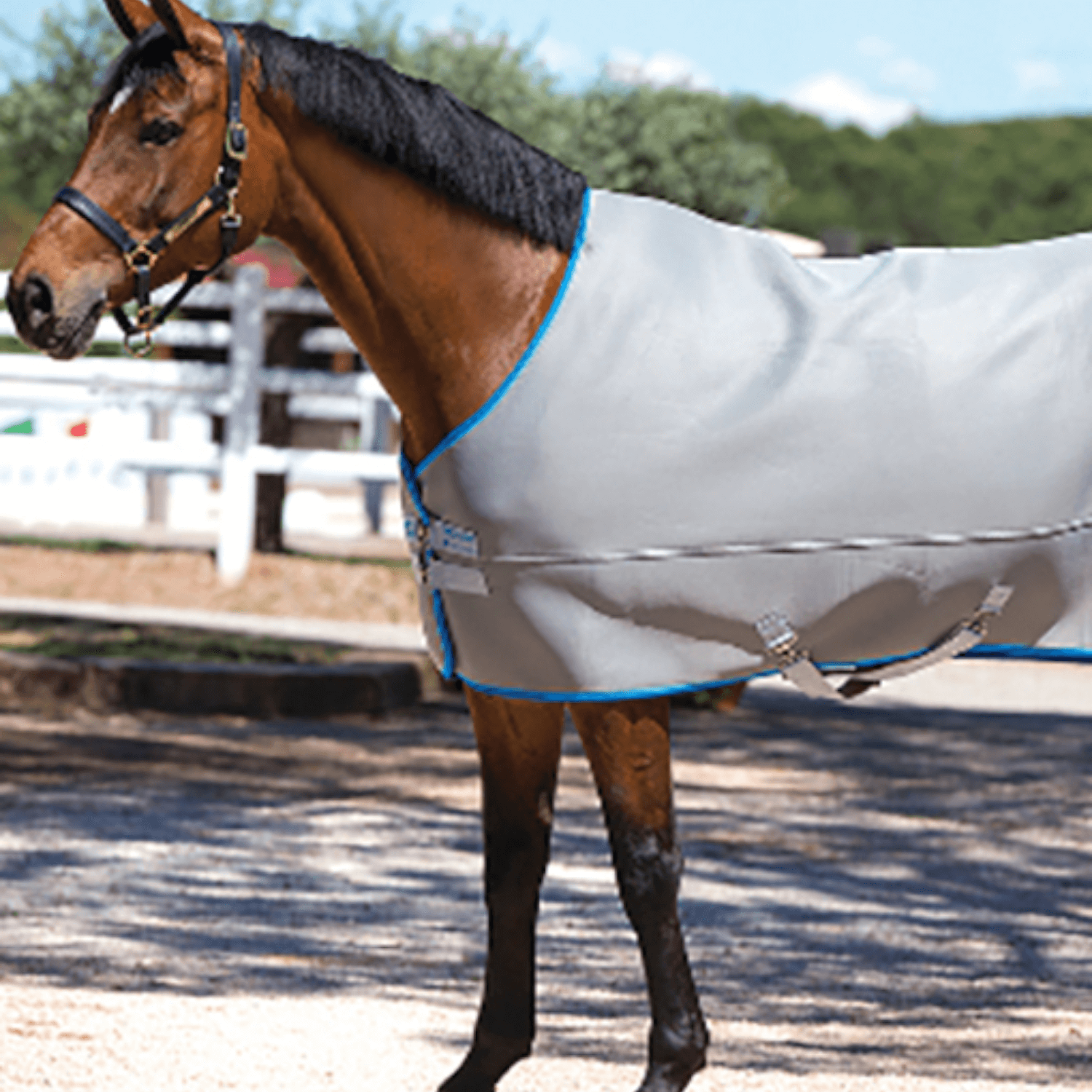 Horseware Rambo Airmax Cooler